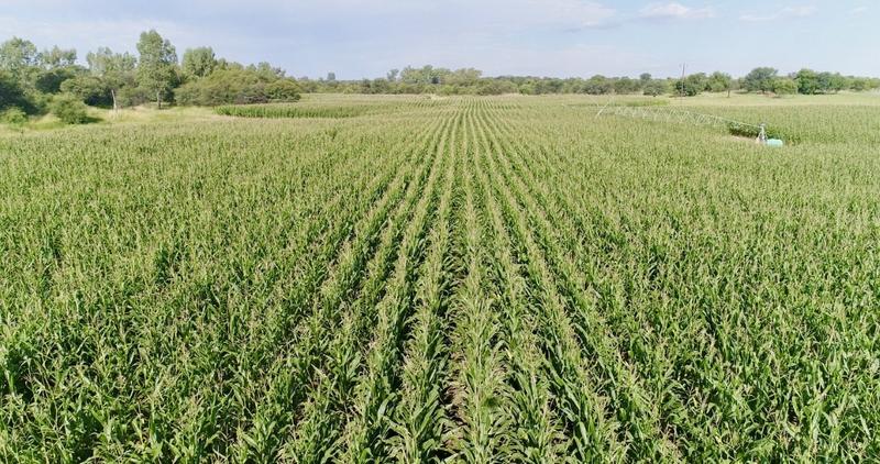 0 Bedroom Property for Sale in Bothaville Free State